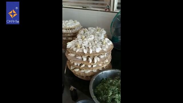 Автоматическая машина по производству пельменей RH-200 смотреть онлайн