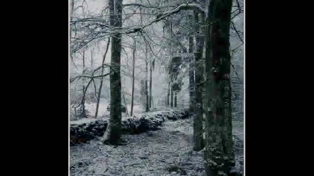 Rammstein - Stirbt nicht vor mir (piano version) смотреть онлайн