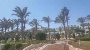 SULTAN GARDENS RESORT 5* (Египет/Шарм-эль-Шейх )- видеообзор от эксперта Аллы Глывы