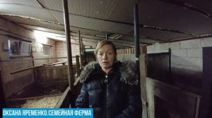 Содержание свиней в нынешней ситуации