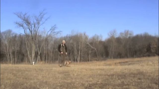 The Wildrose Way: Hops Lining смотреть онлайн