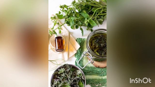 Буни биласизми смотреть онлайн