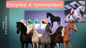 Покупка лошади + тренировка Equestrian The Game