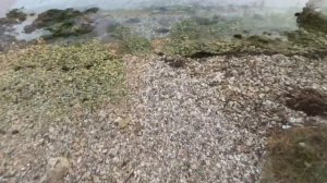 Казачья бухта. Казачка. СЕВАСТОПОЛЬ. #отдыхвкрыму #крым #севастополь