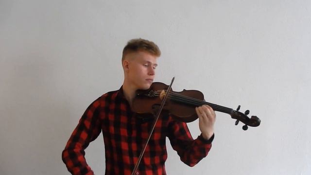 My Heart Will Go On Titanic  Viola Cover