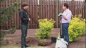 Ландшафтный дизайн. Японский сад
