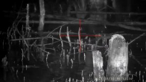 Охота/Hunting на бобра Леший 2 6.35 прицел pard nv008