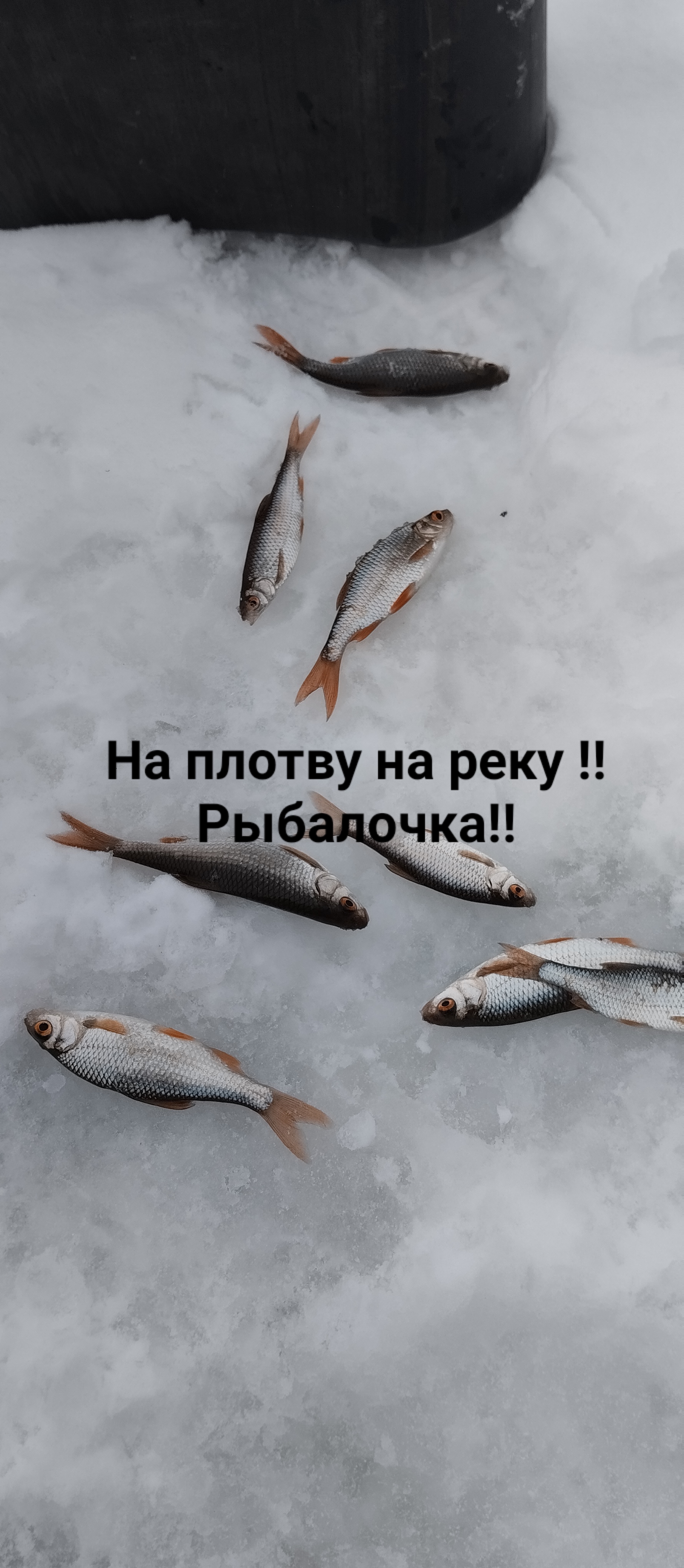Рыбалка на плотву на р.Лесной Воронеж?Саморазвитие через занятием любимым хобби ?