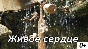 Живое сердце | Детский христианский рассказ | МСЦ ЕХБ