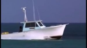 Даже животные помогают друг другу,а Вы помогаете.