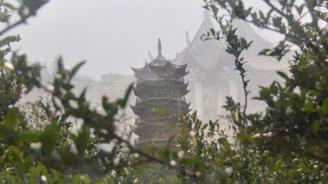 Kunming, Yunnan, One day Tour by Wild China Guide. смотреть онлайн