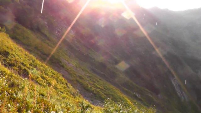 Альпийские луга: красивейшее видео о прогулке по горам.
