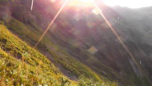 Альпийские луга: красивейшее видео о прогулке по горам.