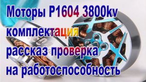 Моторы для зубочистки P1604 3800kv