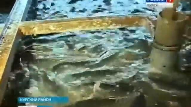 РЕЙНИР Group официальный Дистрибьютор КАРМУТ
