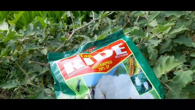 #tag RIDE #insecticide,#acetamiprid20%sp এক মহাঔষধী অনেক ধরনের কাজ পতে জেনেনিন সঠিক ব্যাবহার পদ্ধতি смотреть онлайн