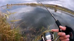 Ловля щуки на воблеры. Твичинг. O.S.P Rudra / Megabass Vision Oneten