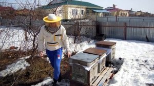 Расположи улья правильно! Хороший вариант подставок для ульев.