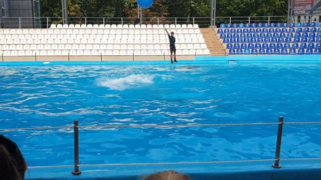Дельфинарий немо в Харькове смотреть онлайн