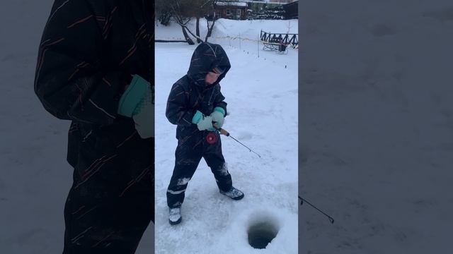 6 часов мы уговаривали его уйти, но он не двинулся с места