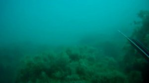 подводная охота в Крыму на кифаль (25 09 2017)