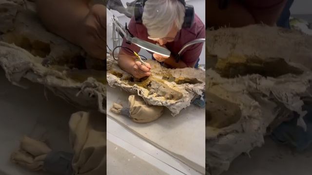 Великолепный музей Далласа