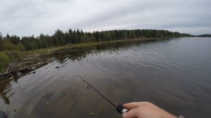 Нагорное водохранилище на реке Адуй / Обзор