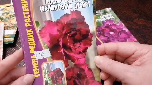 Редкие семена комнатных растений.