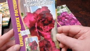 Редкие семена комнатных растений.