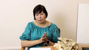 У кого бывают молочные зубы? Самые необычные зубы животных. Наталья Носова