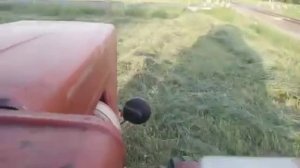 Переворачиваем сено трактор т-25а3 с граблями
