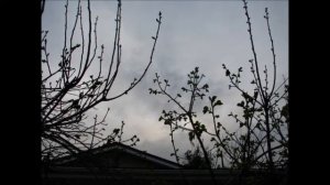 2013/03/20 Spring Morning Skylapse