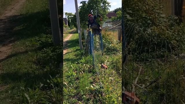 Просто будни косца ? | STIHL FS 450 | Just the daily routine of a mower #stihl смотреть онлайн