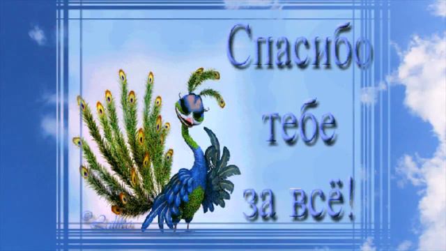 Спасибо всем друзьям и просто неравнодушным людям! смотреть онлайн