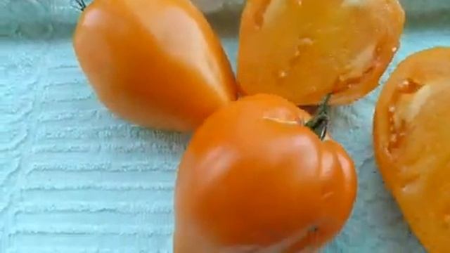 Вкуснейшие томаты Секрет Алифирова Сердце Марты Сердце Татьяны Стреза Суровая дыня Толстая птица смотреть онлайн