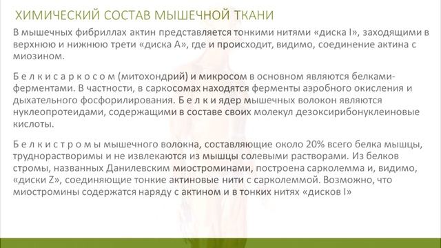 Химический состав мышечного волокна. Биохимия мышц