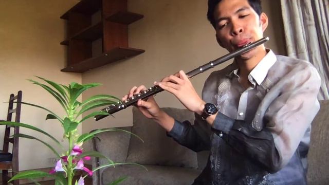 "People Need The Lord" (Flute) смотреть онлайн
