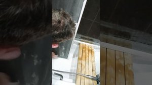 Как помыть москитную сетку