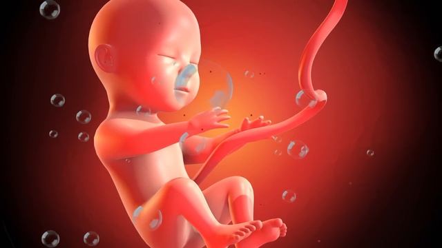 ?️pregnancy music for baby in womb???Music develops brains for babies in the womb