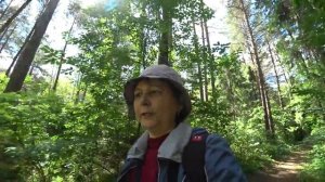 Про полезные дикоросы