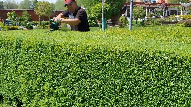 23 мая 2021 г. смотреть онлайн