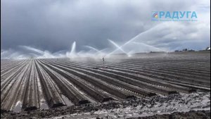 СПРИНКЛЕРНЫЙ ПОЛИВ картофеля