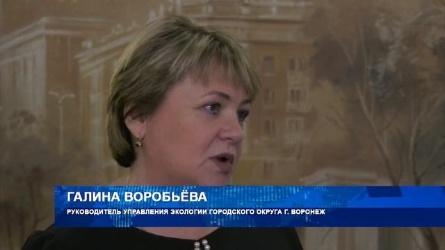 Почти 40% площади Воронежа занимают зелёные насаждения