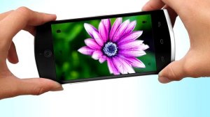 Как правильно фотографировать телефоном