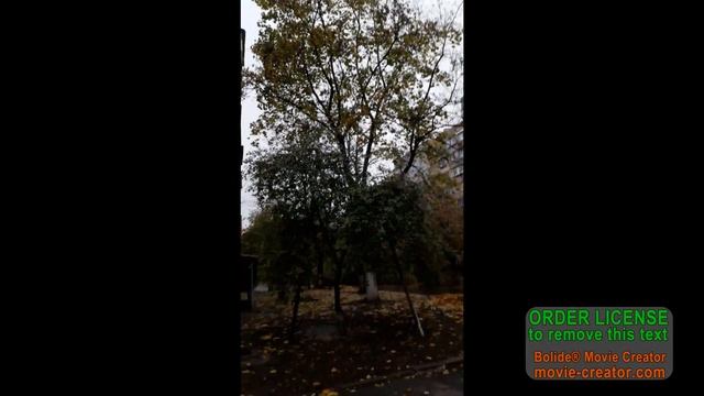 ОКТЯБРЬ/ОСЕНЬ/ВЛОГ