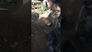 Двигатель 1Z(sharan) устанавливается на Т4(Transporter)