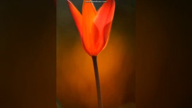 каруселью закружит нас - капризная моя смотреть онлайн