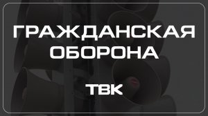 Как не допустить солнечный удар и что делать, если он случился / «Гражданская оборона»
