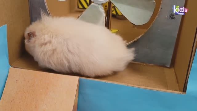 Лабиринт змеи! Препятствия для хомячка с ловушками!