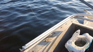 Рыбалка на Волге на юге Волгограда.                                        Ловля судака на стук.